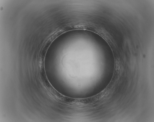 X0000084010648200703022032