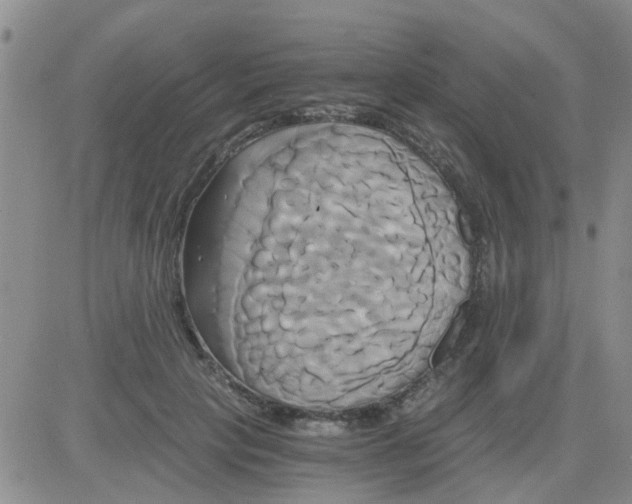 X0000084010649200703022032