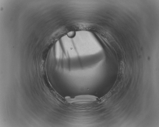 X0000084010650200703022032