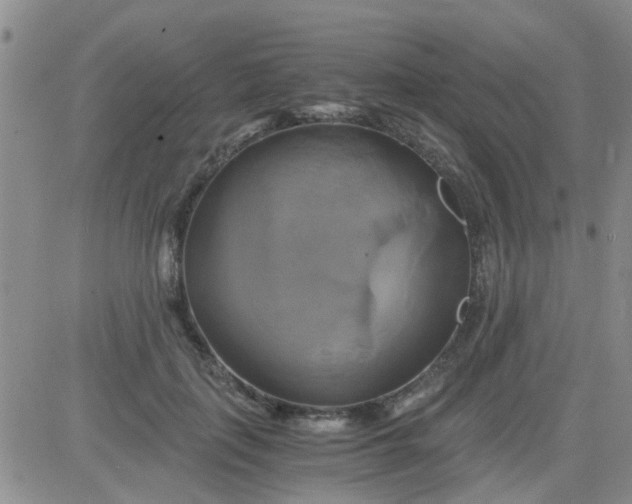 X0000084010651200703022032