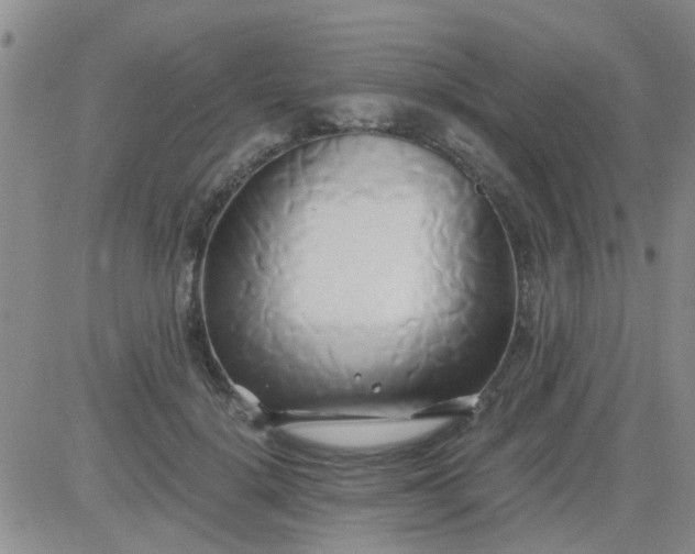 X0000084010652200703022032