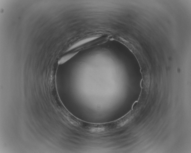 X0000084010653200703022032