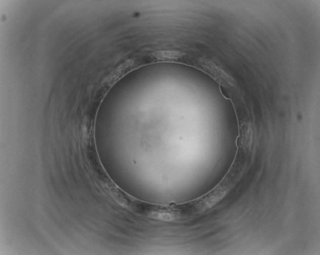 X0000084010655200703022032