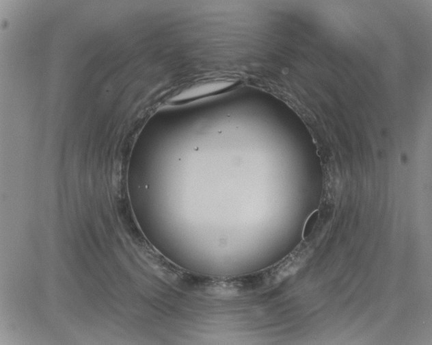 X0000084010656200703022032