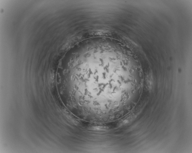 X0000084010657200703022032