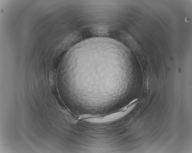 X0000084010658200703022032