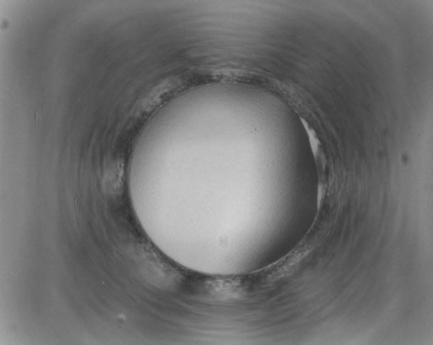 X0000084010660200703022032