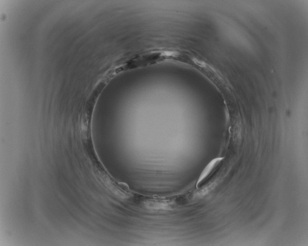 X0000084010661200703022032