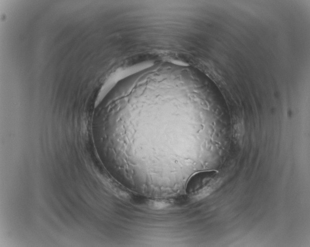 X0000084010662200703022032