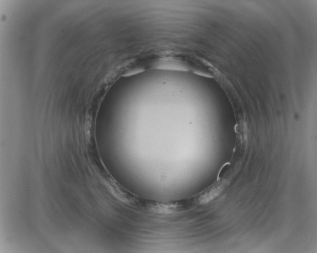 X0000084010664200703022032