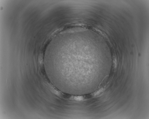 X0000084010665200703022032