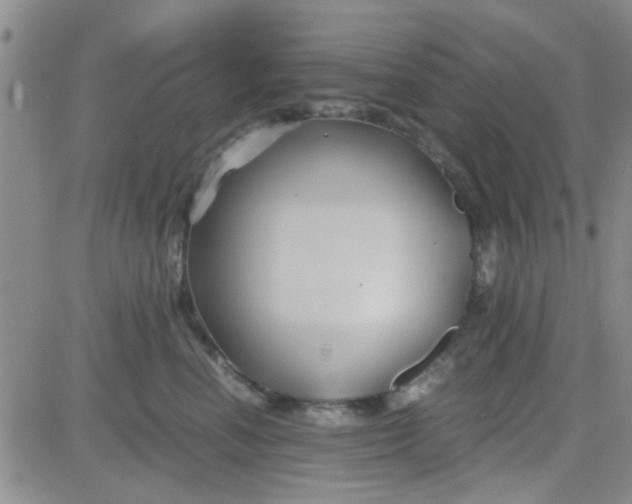 X0000084010666200703022032