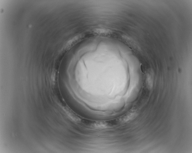 X0000084010668200703022033