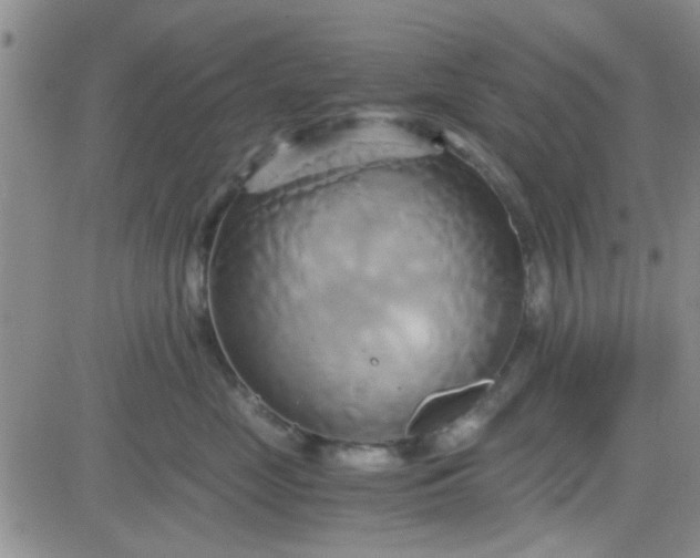 X0000084010669200703022033