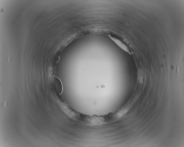 X0000084010670200703022033