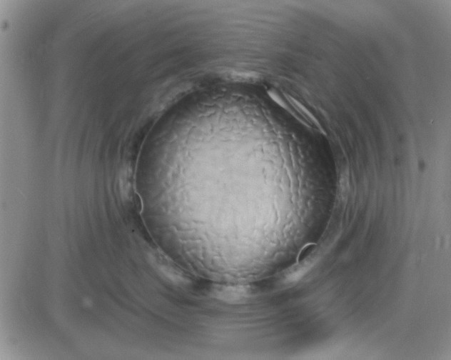 X0000084010671200703022033