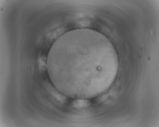 X0000084010672200703022033