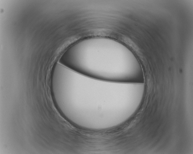 X0000084010673200703022032