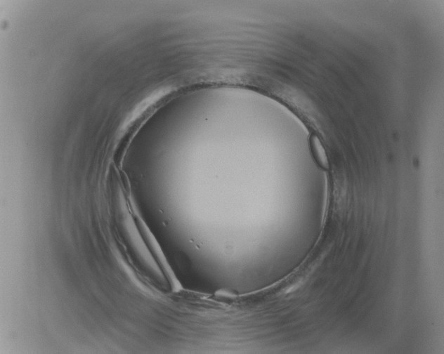 X0000084010674200703022032