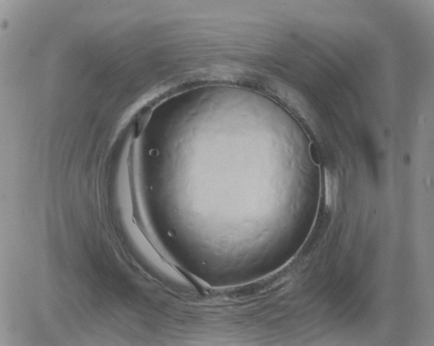 X0000084010675200703022032