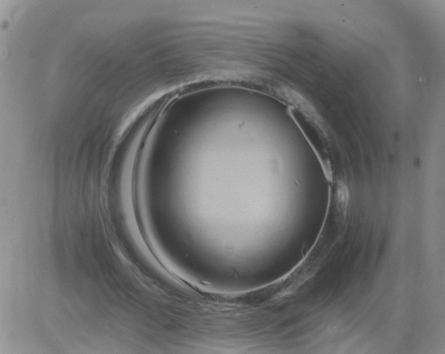 X0000084010676200703022032