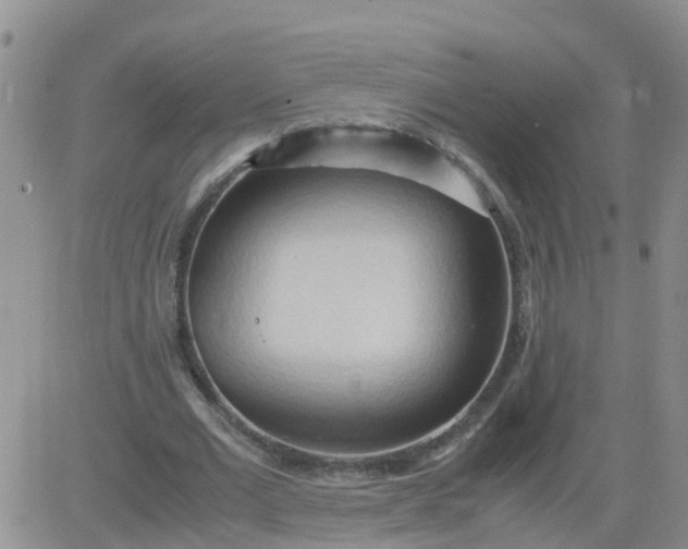 X0000084010677200703022032