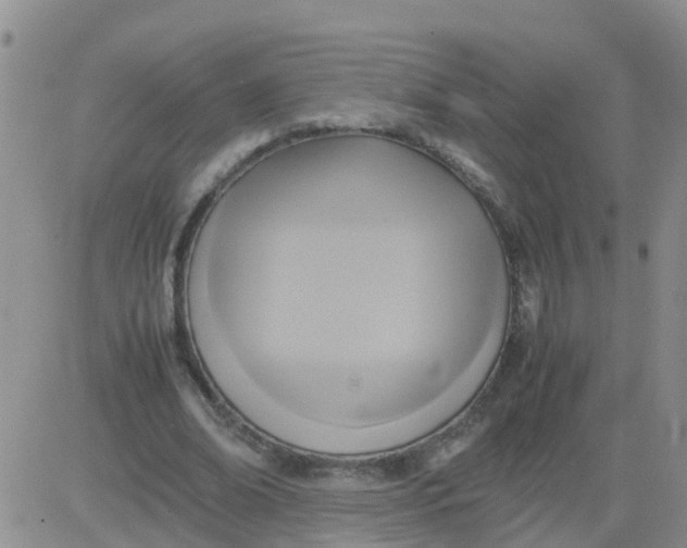 X0000084010678200703022032