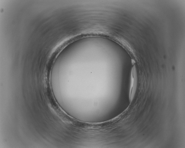 X0000084010680200703022032