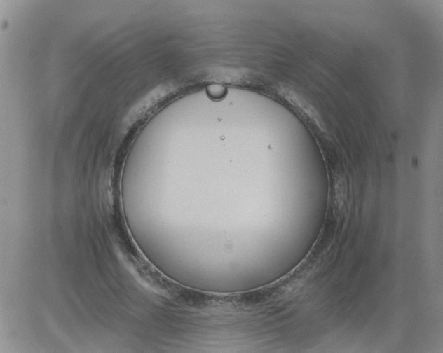 X0000084010682200703022032