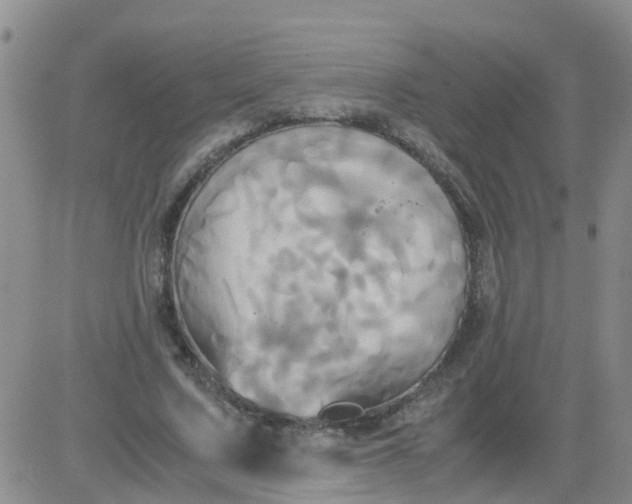 X0000084010683200703022032