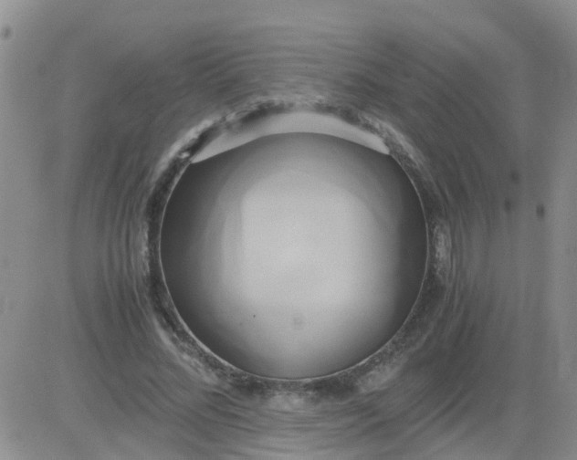 X0000084010684200703022032