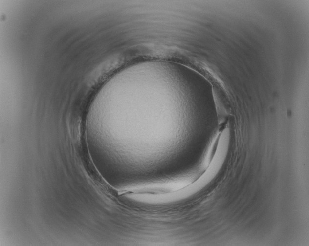 X0000084010685200703022032