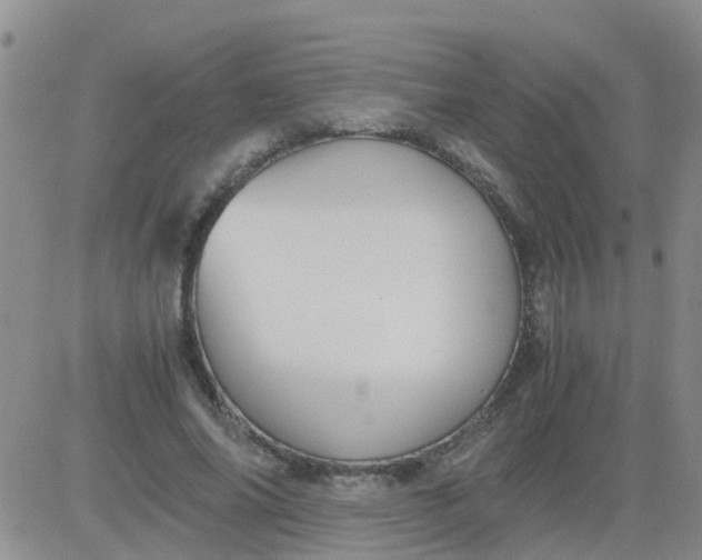 X0000084010686200703022032