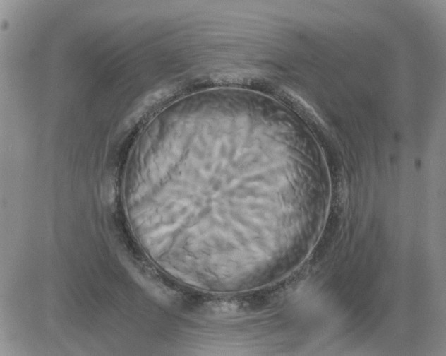 X0000084010687200703022032