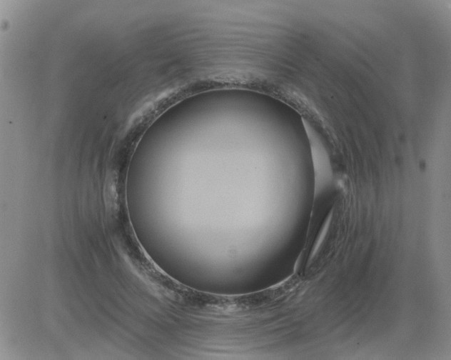 X0000084010688200703022032