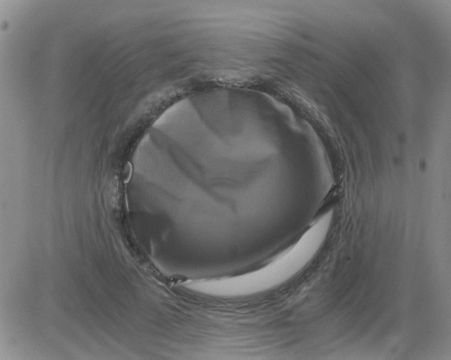 X0000084010689200703022032