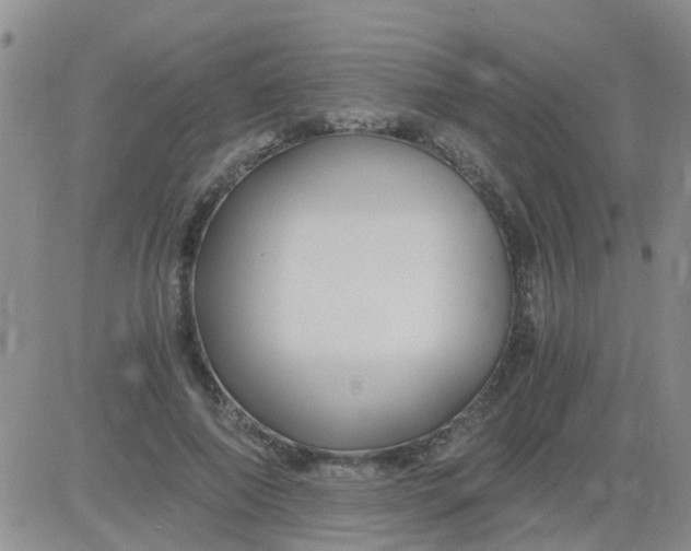 X0000084010690200703022031