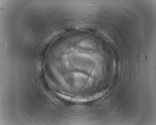 X0000084010691200703022031