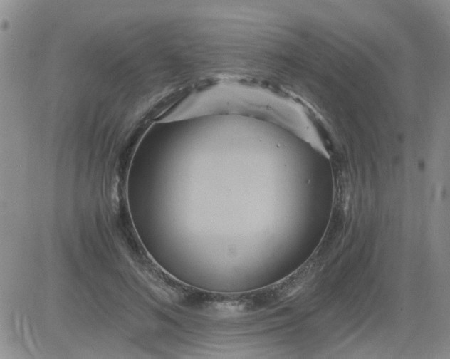 X0000084010692200703022031