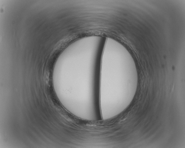 X0000084010693200703022031