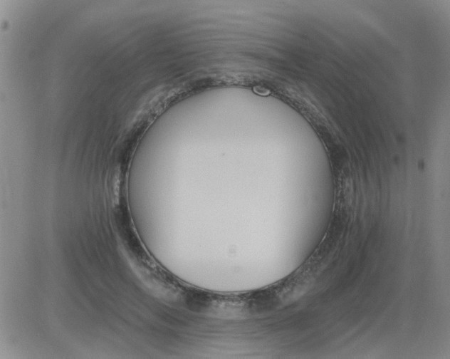 X0000084010694200703022031