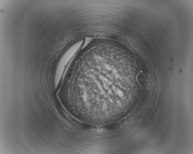 X0000084010695200703022031