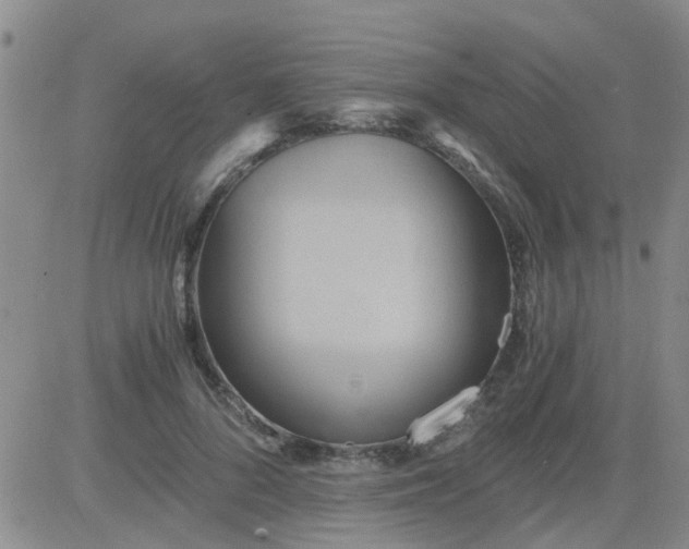 X0000084010696200703022031