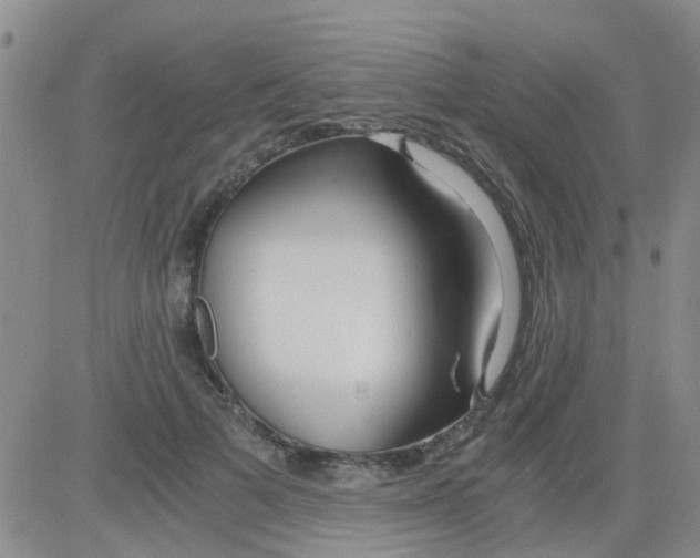 X0000084010697200703022031