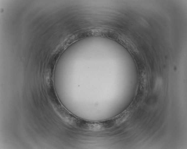 X0000084010698200703022031