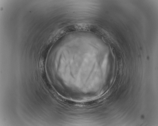 X0000084010699200703022031