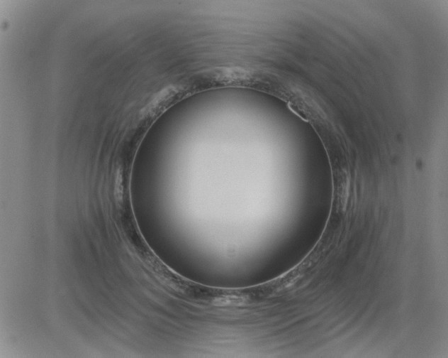 X0000084010700200703022031