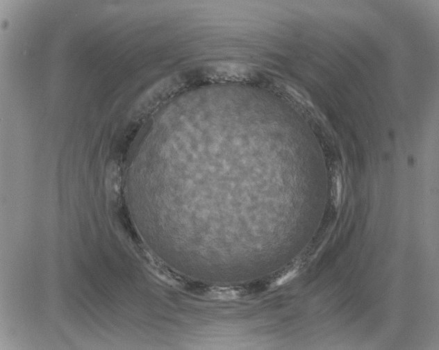 X0000084010701200703022031