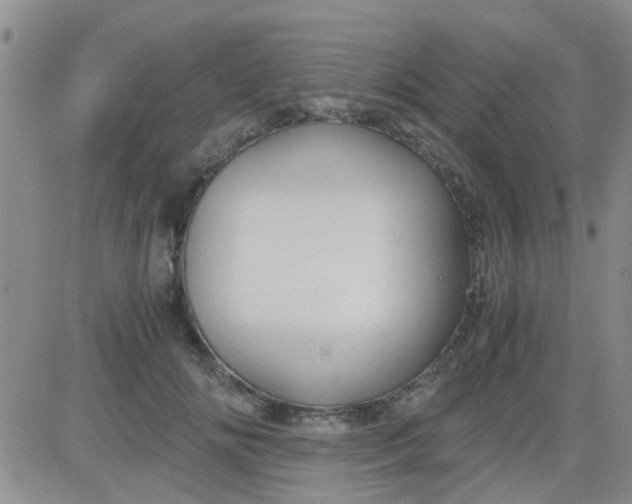 X0000084010702200703022031