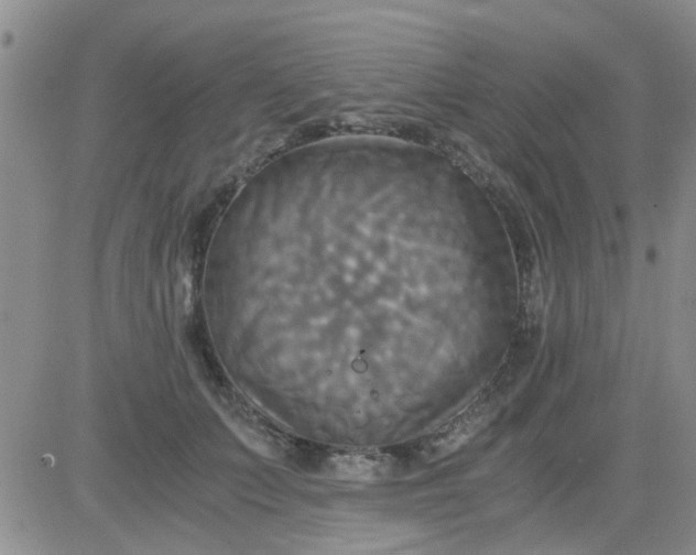 X0000084010703200703022031